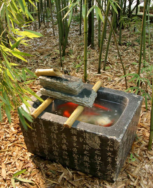 艺术鱼缸